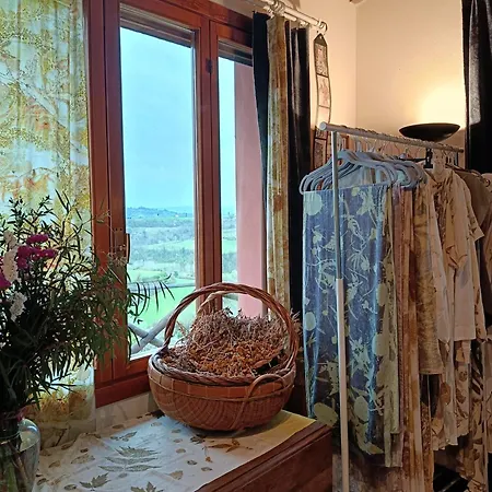 Casa Dell'arte Botanica * Palaia